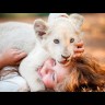 Миа и белый лев на BluRay