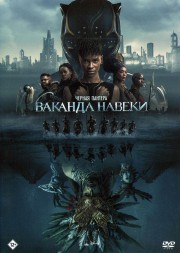 Чёрная Пантера: Ваканда навеки (США, 2022) DVD перевод профессиональный (дублированный)
