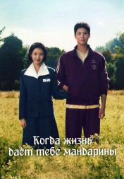 Когда жизнь даёт тебе мандарины (4DVD)