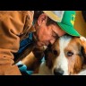 Собачья жизнь 2 на BluRay