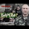 Барсы (Россия, 2015, полная версия, 4 серии) на DVD