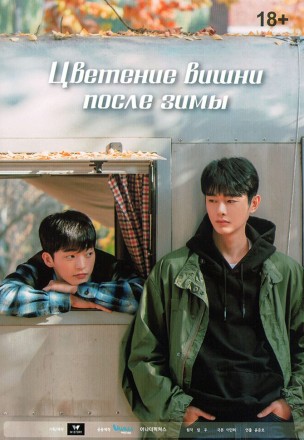 Цветение вишни после зимы на DVD