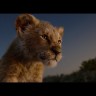 Король Лев (2019, США, The Lion King, Настоящая Лицензия) на DVD