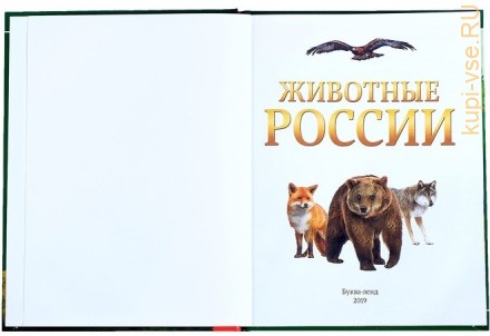 Детская энциклопедия в твёрдом переплёте «Животные России»
