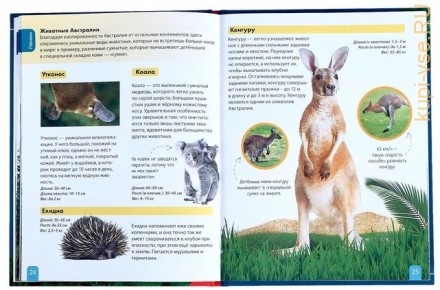 Детская энциклопедия в твёрдом переплёте «Животные»