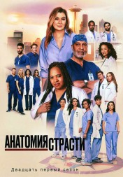Анатомия страсти Сезон 21 (3DVD)