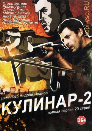 Кулинар 2 (Россия, 2013, полная версия, 20 серий) на DVD