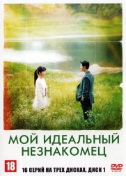 Мой идеальный незнакомец НА ТРЕХ ДИСКАХ (Корея Южная, 2023, полная версия, 16 серий) перевод закадровый