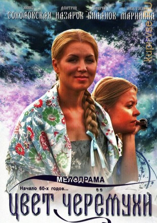 Цвет черемухи (Россия, 2012, полная версия, 16 серий) на DVD