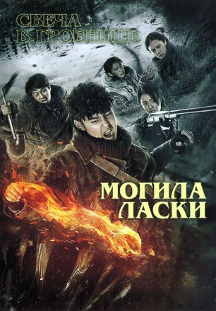 Свеча в гробнице: Могила Ласки (3DVD) на DVD