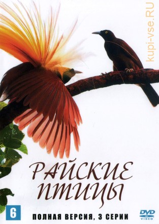 Райские птицы (Корея Южная, 2014, полная версия, 3 серии) на DVD